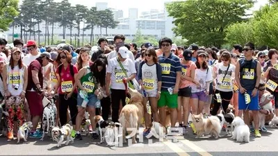 [포토] 출발선에 모인 참가자들