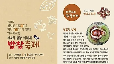 [농식품부선정 11월 축제] 충남 청양 '까치네 밤참축제'