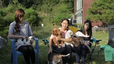 유기견을 입양해 살고 있는 '영웅이네' 애견카페 나들이