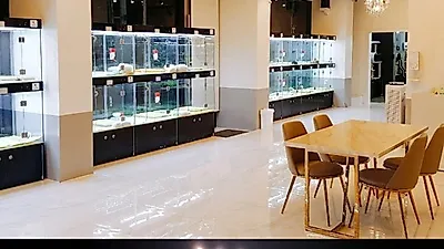 전주강아지분양 전문 '야옹아멍멍해봐' 12월 맞이 애견 할인 이벤트