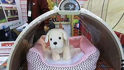 2015 코리아펫쇼(KOPET)에 선보인 다양한 제품들 #1