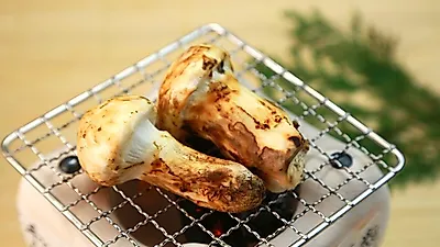 송이버섯 효능, 성인병 특효약…'송이버섯 볶음요리부터 좋은 송이버섯 고르는 법'