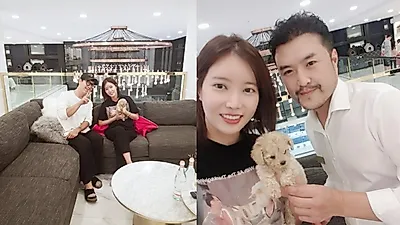 강아지분양 전문기업 '펫갤러리아·펫제이' 펫플래너 시스템으로 애견 전문성 높여