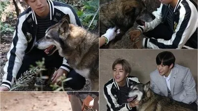 '무림학교' 이현우, 늑대 개와 달달한 비하인드 컷 공개
