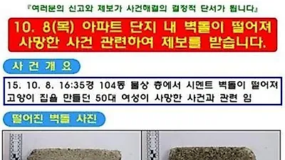 '캣맘' 벽돌 사망사건, 자백으로 밝혀진 범인은 초등학생
