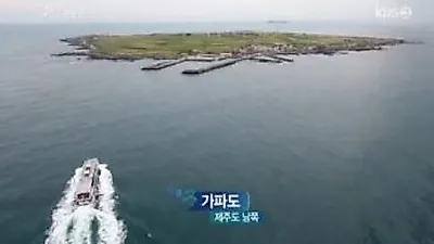 가파도청보리축제 기간은?..5월 초까지 보리잎 푸른 생명 절정