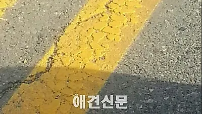 완주군, 로드킬당한 동물위로 중앙선 그어 논란..