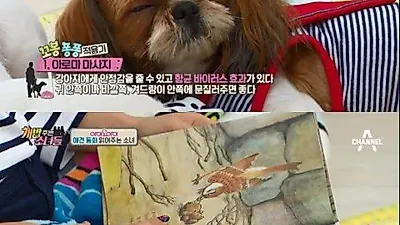'개밥주는남자' 강아지에게 아로마 테라피와 동화책 읽어주기