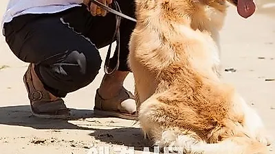 주진모, 골든리트리버와 바닷가 산책 '심쿵 주의보'