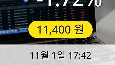 롯데관광개발 1일 11,400원