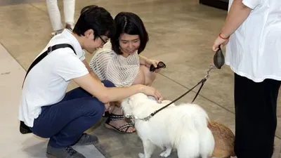 [포토]부산국제반려동물박람회, 동물들과 즐거운 시간