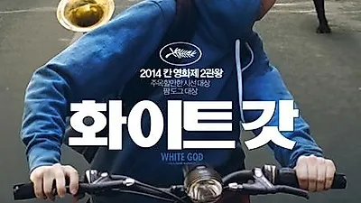 [추천영화] 화이트 갓(White God)