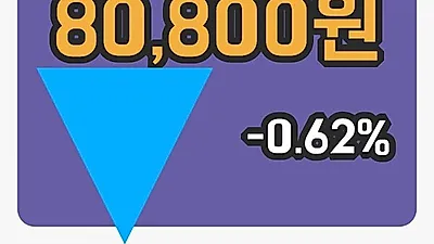 국내주식마감현대엘리베이 21일 80,800원 장 마쳐그래프정리