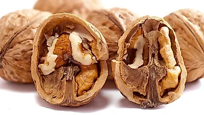 아직 완벽하지 않은 치매 치료제 ,  예방법은 무엇 …뇌에 좋은 음식 및  치매 원인·증상은?