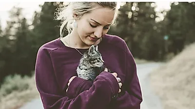 갑작스러운 고양이 경련 및 발작에 침착하게 대응하는 법