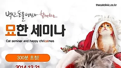 백산동물병원, 고양이 보호자를 위한 특별한 세미나 개최