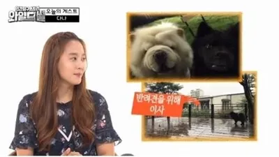 '와일드썰' 다나, "반려견 때문에 마당 있는 집으로 이사"