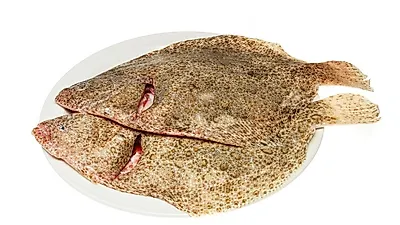 버터를 이용한 맛있는 가자미구이