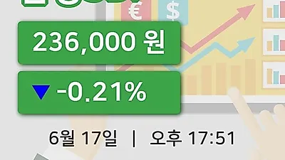 주식마감삼성SDI 17일 236,000원 마감그래프종합통계