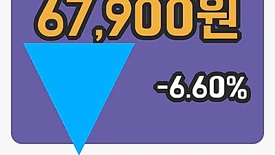 아모레G 2일 67,900원 장종보고