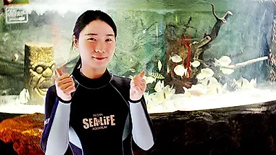 SEA LIFE 부산아쿠아리움 아쿠아리스트 되는법