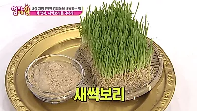 [다이어트식단] 폴리코사놀 풍부한 '새싹보리분말 다이어트' 효능은? 새싹보리해독주스 먹는 방법