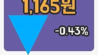 주식마감서원 22일 1,165원 마감...