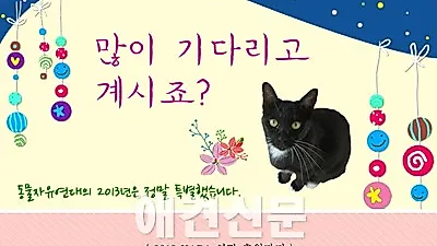 동물보호단체 송년회 소식
