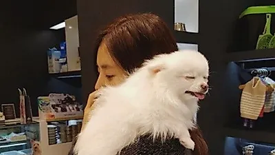 한채아, 순심이와 함께 즐거운 나들이 '시선 집중'