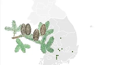 산림청 국립수목원, 국내 최초 증거표본 근거한 자생식물 종합 분포 자료 발간
