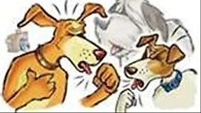 장마철, 켄넬코프 주의 경보