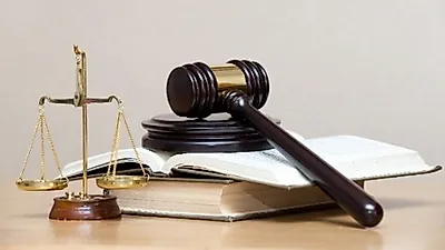 동물권 단체 '케어', "반려동물, 물건 취급은 위헌"