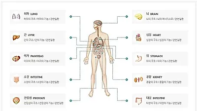 [2019 건강검진] 올해부터 달라졌다? 7월부터 '폐암' 추가 도입…건강검진 비용 및 신청방법은?