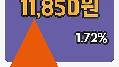 국내주식마감피앤이솔루션 10일 11,850원 장 마쳐그래프분석