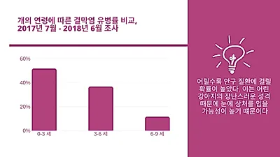 [이슈] 반려견도 안구 질환 많아…특히 수컷 위험