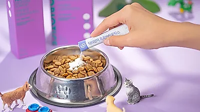 강아지사료 브랜드 닥터맘마, 기호성 좋은 강아지 고양이 유산균 리뉴얼 출시