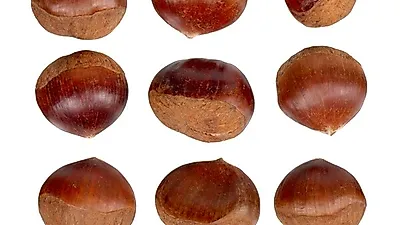 밤 삶는 법·시간과 밤 보관법은? 에어프라이어 요리 군밤 만들기와 밤 효능, 밤 쉽게 까는 법