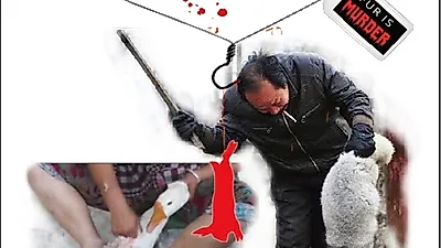 비건 세상을 위한 시민모임, 21일 광화문서 모피·다운 '반대' 퍼포먼스 기자회견 열어
