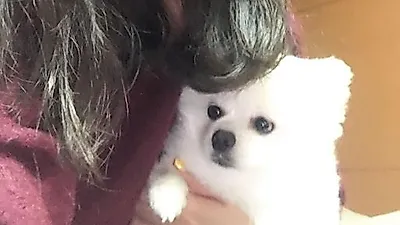 이필모♥서수연 결혼은 이미 오래전에 예견?···나이 14살차에도 애정 안 숨겨 인스타그램 사랑 가득