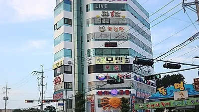 손질비 없이 저렴한 대게전문점, 속초맛집 비치대게직판장