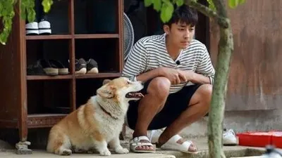 '삼시세끼' 유해진 반려견, 손호준 향한 무한 애정 "나 좀 봐줘"