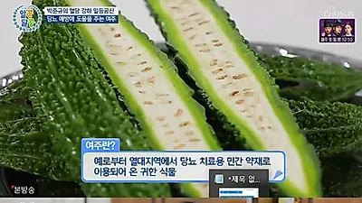 민혜연 "여주, 효능 좋은 당뇨 잡는 도깨비방망이"