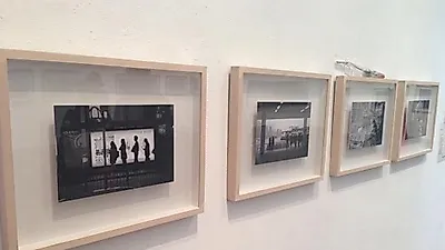 박대곤 다울동물병원 원장, 사진전 열어