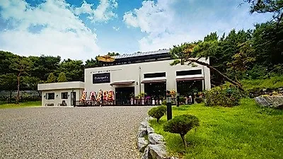 일산애견카페 최대규모 '피터팻츠' 반려견이 즐거워하니 견주도 행복해!
