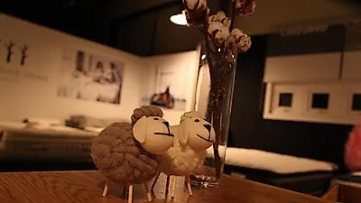 씰리 템퍼매트리스 포함 미국 수입매트리스 '에어룸' 파격할인 마지막 찬스