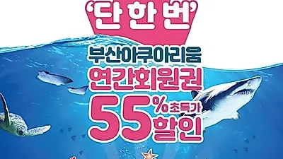 SEA LIFE 부산아쿠아리움 연간회원권 판매, "10년 전 가격 그대로" 통크게 쏜다