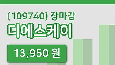 주식마감디에스케이 25일 13,950원 마감