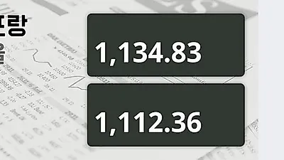 12일 스위스프랑 살때 1,134.83원, 팔때 1,112.36원 ▼-0.13%감소