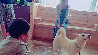 여자 유도 정보경 은메달, 강아지와 함께 다정한 일상 '이 정도 일 줄'