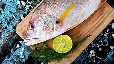 도미의 효능, 숙취해소 성인병 예방에 좋아…'도미 맛있게 먹는 법은?'
